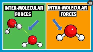 Intermolecular Forces and Intramolecular Forces  Chemistry [upl. by Yenots561]