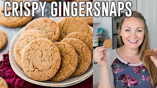 Snappy Crispy Gingersnap Cookies [upl. by Llarret342]