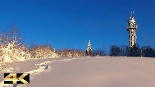 Hochfirst 1192 m  Bergtour amp Sonnenuntergangspanorama  Hochschwarzwald 2021 🇩🇪 [upl. by Latnahc370]