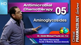 Antimicrobial Chemotherapy Ar Lecture 05 Aminoglycosides [upl. by Betti394]