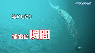 『泳がせ釣り』捕食の瞬間・ヒット集【海中動画】ヒラメ・マゴチなど [upl. by Pirali522]