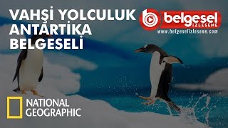 Vahşi Yolculuk Antarktika Belgeseli  Türkçe Dublaj [upl. by Elias667]