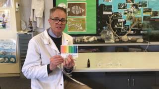 Universal indicator colour changes in an acid base and water [upl. by Koetke996]