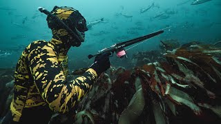 SPEARFISHING BASICS IN UNDER 2 MINUTES [upl. by Katha]