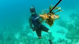 Spearfishing Poisonous Lionfish  Bahamas Part 1 Teds HoldOver [upl. by Cooper]