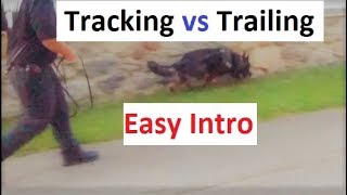 How to Train a Dog to Track trail An easy Intro K91com [upl. by Cassandre]