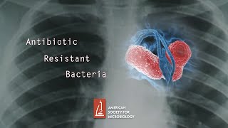 Antibiotic Resistant Bacteria [upl. by Bryan269]