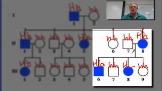 How to read a pedigree [upl. by Anitteb]