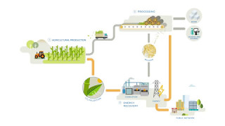 Sugar cane  A source of renewable energy [upl. by Knick863]