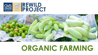 Organic Farming  Rewild Project [upl. by Atte]