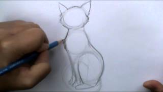 How to draw a basic cat sitting [upl. by Eulalia]