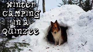 Winter Camping in a Quinzee with My Dog [upl. by Walters]