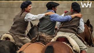 Caballo Criollo Horses in Argentina [upl. by Sebbie]