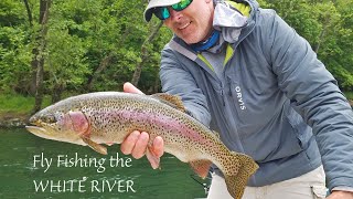 Fly Fishing the WHITE RIVER in Arkansas for MONSTER TROUT [upl. by Eisele]