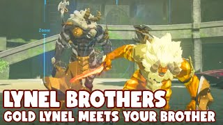 Breath of the Wild White Lynel meets Gold Lynel  The Best Fight in the game [upl. by Aronoel]