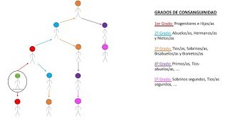 Civil  Familia  Grados de consanguinidad [upl. by Bethany]