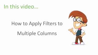 Excel Filters Training  Multiple Column Filters  Part 3 of 3 [upl. by Bergman]