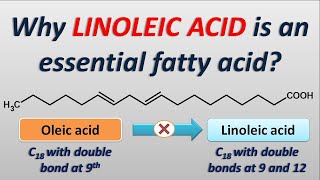 Why Linoleic acid is an essential fatty acid [upl. by Kathe728]