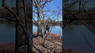 Fishing at Hackensack River [upl. by Mccahill]