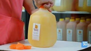 How Its Actually Made  Orange Juice [upl. by Sug]