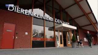 Dierenkliniek Den Ham [upl. by Amelie]