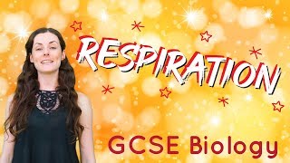 Respiration  GCSE Biology [upl. by Lathan]