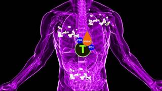 Managing Immunotherapy Side Effects  Part 1 [upl. by Chi169]