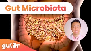 What is Gut Microbiota  GutDr MiniExplainer [upl. by Enileoj]