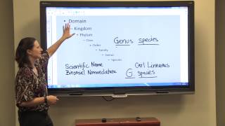 Classification amp Binomial Nomenclature [upl. by Lamdin254]