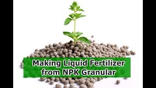 Making Liquid Fertilizer From NPK Granular [upl. by Mairam]