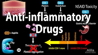 Antiinflammatory NSAIDs Drugs Pharmacology Animation [upl. by Luapleahcim]