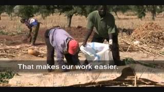 The Threshing Floor  Far North Cameroon [upl. by Akinwahs327]