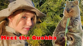 Quokka The Happiest Cutest Animal On Earth  The fun way to learn about the Quokka [upl. by Harday]