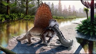 Dimetrodon  Ancient Animal [upl. by Nali]