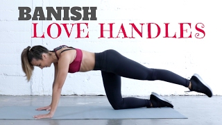 LOVE HANDLES  AB WORKOUT [upl. by Neelahs]