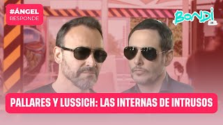 PALLARES Y LUSSICH LAS INTERNAS DE INTRUSOS  ÁNGEL RESPONDE 111 [upl. by Mayrim]