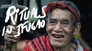 RITUAL IN IFUGAO RICE TERRACES [upl. by Surbeck300]