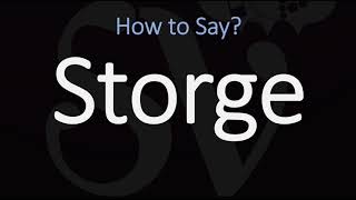 How to Pronounce Storge CORRECTLY LOVE Meaning amp Pronunciation [upl. by Sidoeht849]