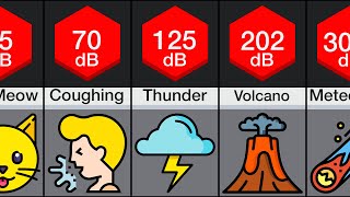 Comparison Loudest Sounds [upl. by Adnilram]