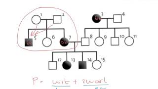BiologieErfelijkheiddominant of recessief in stambomen [upl. by Ahseenak]