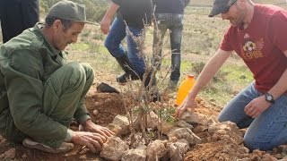 Consejos para plantar árboles en zonas áridas [upl. by Yeslek298]