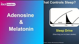 Sleeping Adenosine and Melatonin [upl. by Weisberg]