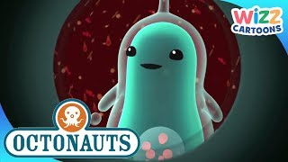 Octonauts  Drilling Through the Ice  Compilation  Wizz Cartoons [upl. by Dre]