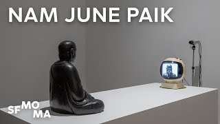 Nam June Paik Electronic Superhighway [upl. by Ulysses]