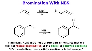 AllylicBenzylic Bromination With NBromo Succinimide NBS [upl. by Briny791]