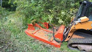 Mowing an overgrown field [upl. by Matazzoni695]