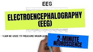 2Minute Neuroscience Electroencephalography EEG [upl. by Godard]