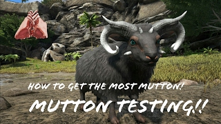 HOW TO FARM MUTTON  OVIS  BEST WAY TO GET MUTTON  ARK SURVIVAL EVOLVED  XBOX ONE PS4 PC ARK [upl. by Del113]