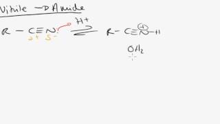 Nitrile Hydrolysis to Amide Mechanism [upl. by Hukill785]