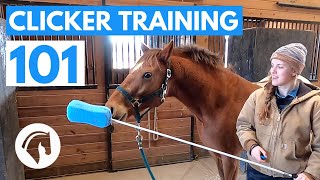 How to Clicker Train Your Horse [upl. by Belter]